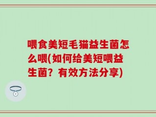 喂食美短毛猫益生菌怎么喂(如何给美短喂益生菌？有效方法分享)
