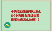 小狗吃益生菌呕吐怎么办(小狗因食用益生菌而呕吐应怎么处理？)