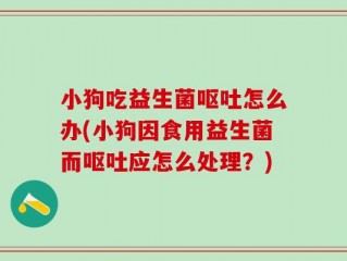 小狗吃益生菌呕吐怎么办(小狗因食用益生菌而呕吐应怎么处理？)