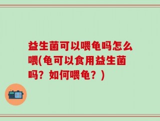 益生菌可以喂龟吗怎么喂(龟可以食用益生菌吗？如何喂龟？)