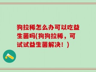 狗拉稀怎么办可以吃益生菌吗(狗狗拉稀，可试试益生菌解决！)