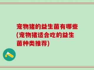 宠物猪的益生菌有哪些(宠物猪适合吃的益生菌种类推荐)