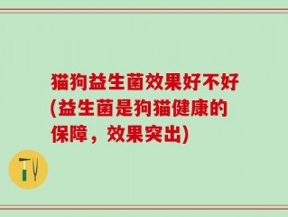 猫狗益生菌效果好不好(益生菌是狗猫健康的保障，效果突出)
