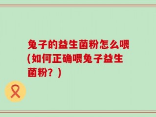 兔子的益生菌粉怎么喂(如何正确喂兔子益生菌粉？)