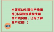 小蓝瓶益生菌生产线图片(小蓝瓶优质益生菌生产线实拍，让你了解生产过程！)