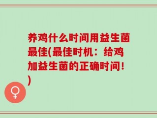 养鸡什么时间用益生菌最佳(最佳时机：给鸡加益生菌的正确时间！)