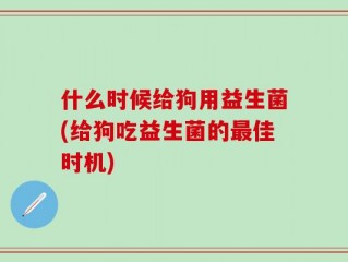 什么时候给狗用益生菌(给狗吃益生菌的最佳时机)