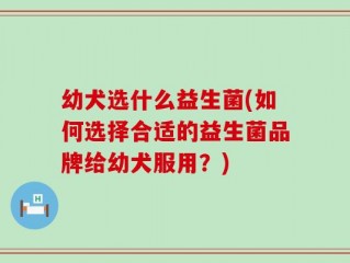 幼犬选什么益生菌(如何选择合适的益生菌品牌给幼犬服用？)