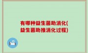 有哪种益生菌助消化(益生菌助推消化过程)