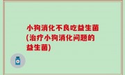 小狗消化不良吃益生菌(治疗小狗消化问题的益生菌)