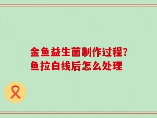金鱼益生菌制作过程？鱼拉白线后怎么处理
