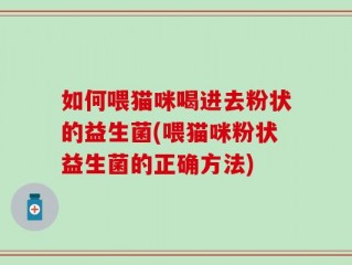 如何喂猫咪喝进去粉状的益生菌(喂猫咪粉状益生菌的正确方法)