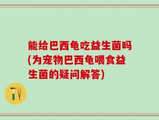 能给巴西龟吃益生菌吗(为宠物巴西龟喂食益生菌的疑问解答)