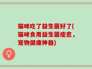 猫咪吃了益生菌好了(猫咪食用益生菌痊愈，宠物健康神器)