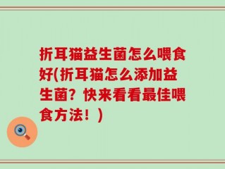 折耳猫益生菌怎么喂食好(折耳猫怎么添加益生菌？快来看看最佳喂食方法！)