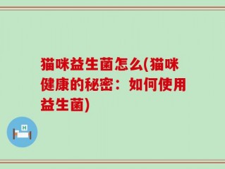 猫咪益生菌怎么(猫咪健康的秘密：如何使用益生菌)