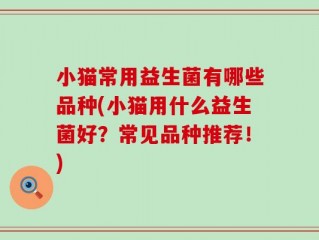 小猫常用益生菌有哪些品种(小猫用什么益生菌好？常见品种推荐！)