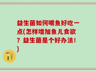 益生菌如何喂鱼好吃一点(怎样增加鱼儿食欲？益生菌是个好办法！)