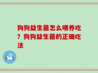 狗狗益生菌怎么喂养吃？狗狗益生菌的正确吃法