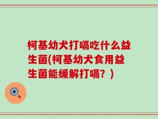 柯基幼犬打嗝吃什么益生菌(柯基幼犬食用益生菌能缓解打嗝？)