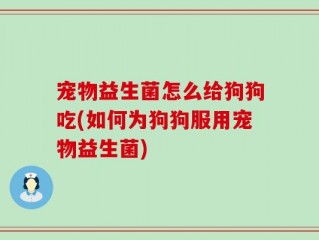 宠物益生菌怎么给狗狗吃(如何为狗狗服用宠物益生菌)