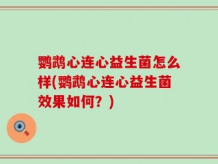 鹦鹉心连心益生菌怎么样(鹦鹉心连心益生菌效果如何？)
