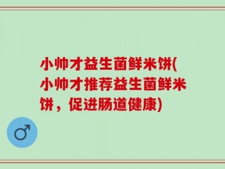 小帅才益生菌鲜米饼(小帅才推荐益生菌鲜米饼，促进肠道健康)