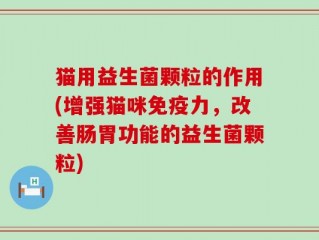 猫用益生菌颗粒的作用(增强猫咪免疫力，改善肠胃功能的益生菌颗粒)