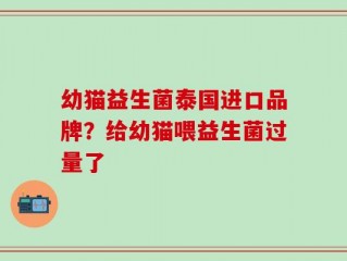 幼猫益生菌泰国进口品牌？给幼猫喂益生菌过量了