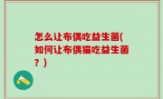 怎么让布偶吃益生菌(如何让布偶猫吃益生菌？)