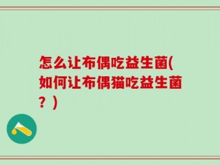 怎么让布偶吃益生菌(如何让布偶猫吃益生菌？)