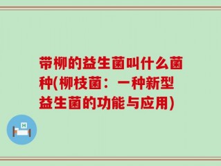 带柳的益生菌叫什么菌种(柳枝菌：一种新型益生菌的功能与应用)