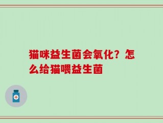 猫咪益生菌会氧化？怎么给猫喂益生菌
