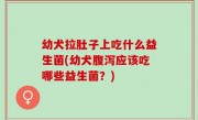 幼犬拉肚子上吃什么益生菌(幼犬腹泻应该吃哪些益生菌？)