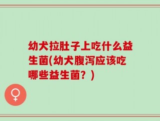 幼犬拉肚子上吃什么益生菌(幼犬腹泻应该吃哪些益生菌？)