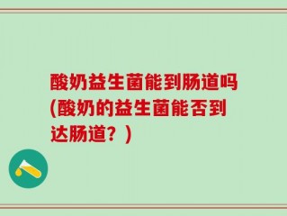 酸奶益生菌能到肠道吗(酸奶的益生菌能否到达肠道？)
