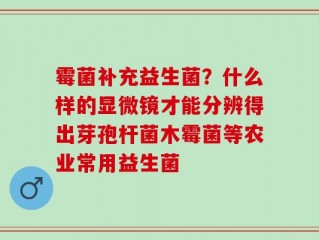 霉菌补充益生菌？什么样的显微镜才能分辨得出芽孢杆菌木霉菌等农业常用益生菌