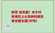 胖哥 益生菌？关于对象嘴巴上火发肿的搞笑朋友圈文案(40句)
