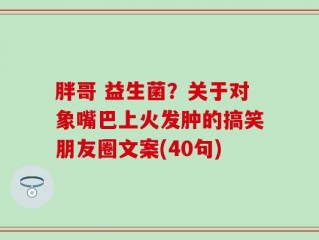 胖哥 益生菌？关于对象嘴巴上火发肿的搞笑朋友圈文案(40句)