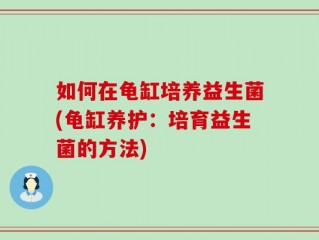 如何在龟缸培养益生菌(龟缸养护：培育益生菌的方法)