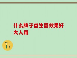 什么牌子益生菌效果好大人用