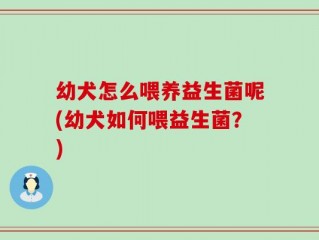 幼犬怎么喂养益生菌呢(幼犬如何喂益生菌？)