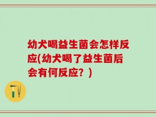 幼犬喝益生菌会怎样反应(幼犬喝了益生菌后会有何反应？)