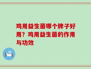 鸡用益生菌哪个牌子好用？鸡用益生菌的作用与功效