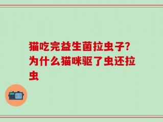 猫吃完益生菌拉虫子？为什么猫咪驱了虫还拉虫