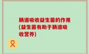 肠道吸收益生菌的作用(益生菌有助于肠道吸收营养)