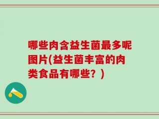 哪些肉含益生菌最多呢图片(益生菌丰富的肉类食品有哪些？)