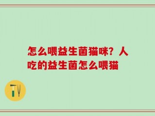 怎么喂益生菌猫咪？人吃的益生菌怎么喂猫
