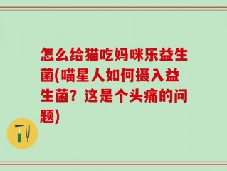 怎么给猫吃妈咪乐益生菌(喵星人如何摄入益生菌？这是个头痛的问题)