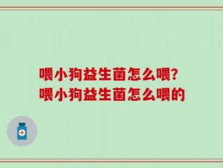 喂小狗益生菌怎么喂？喂小狗益生菌怎么喂的